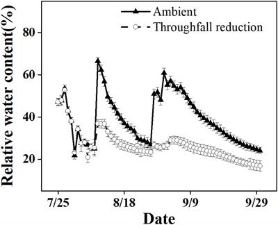 Different hydraulic and photosynthetic responses to summer drought between newly sprouted and established Moso bamboo culms